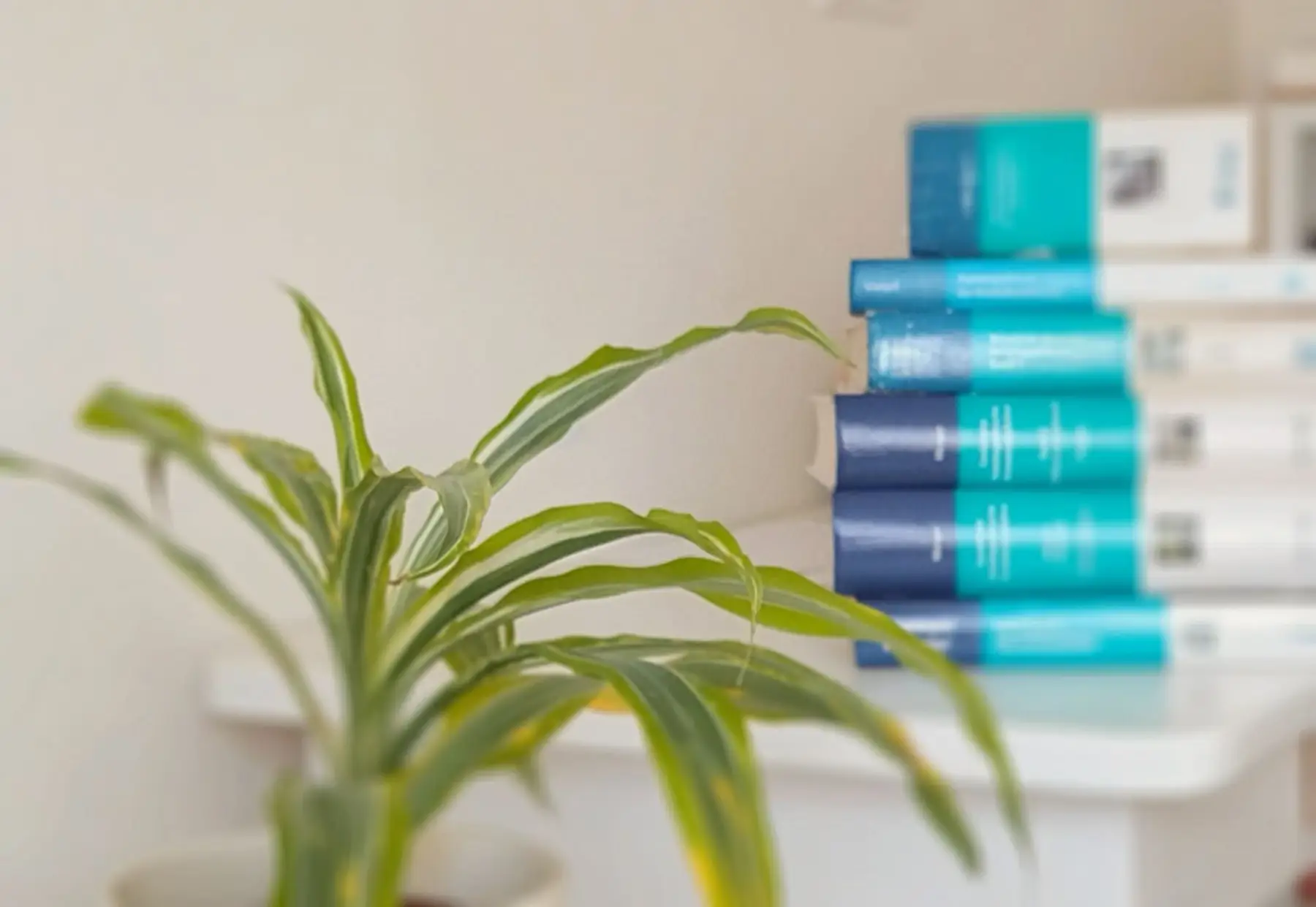 Biljka i knjiga